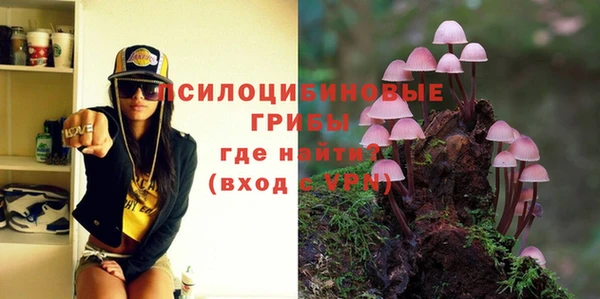 PSILOCYBIN Баксан